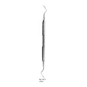 Anterior