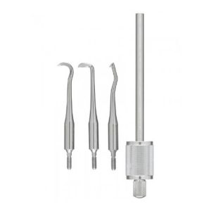 C Tips For Morrel Crown