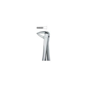 Incisors And Roots 74